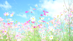 主役は白い奴 主役は白い奴