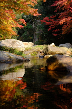 水面に映える紅葉（豪渓）