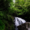鳴滝森林公園の滝④