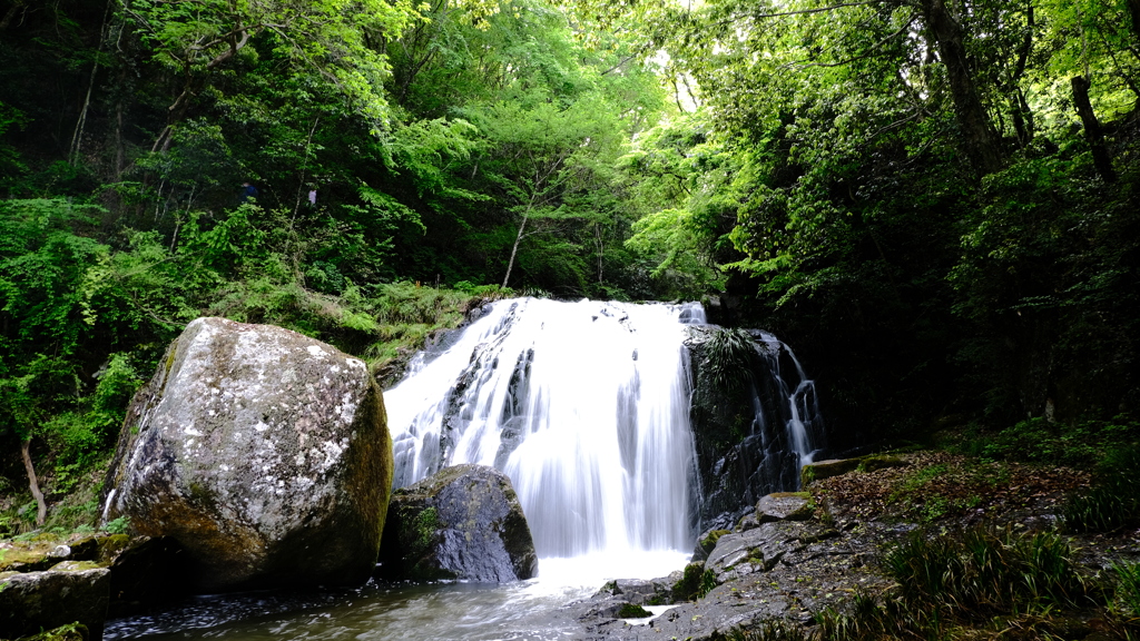 鳴滝森林公園の滝②