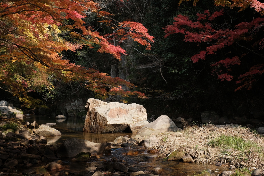 豪渓 紅葉 1