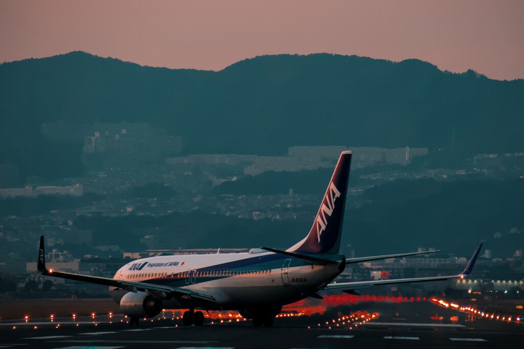 飛行機