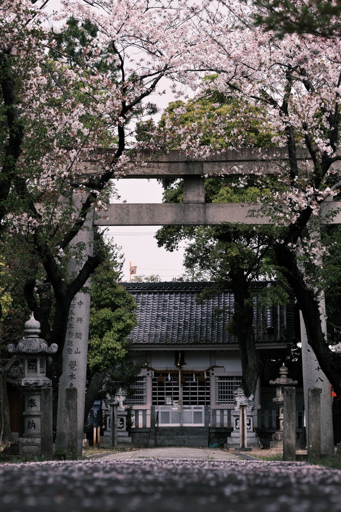 神社と桜