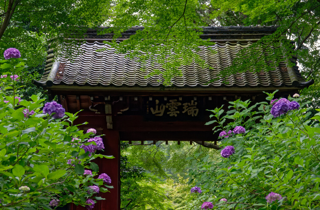 本光寺