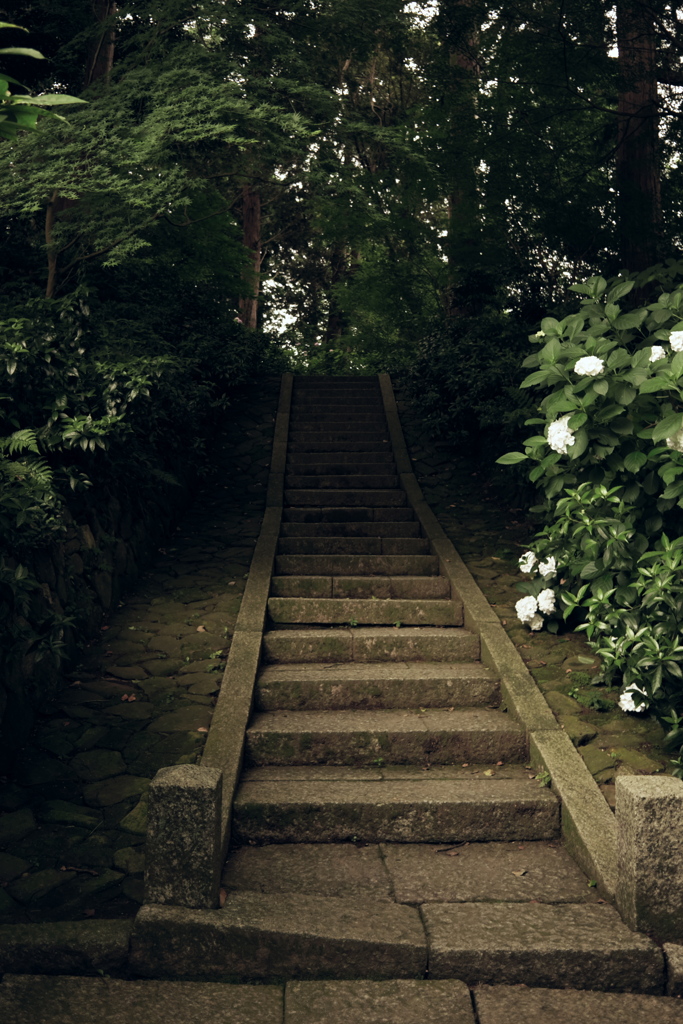 本光寺