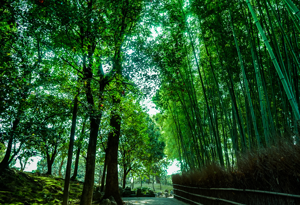8A8170B7-2E28-4282-A7C6-001BF1F2CC6F