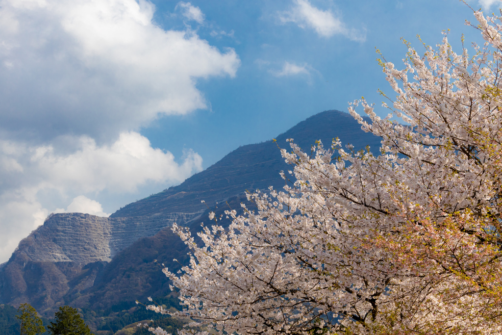 秩父の名峰