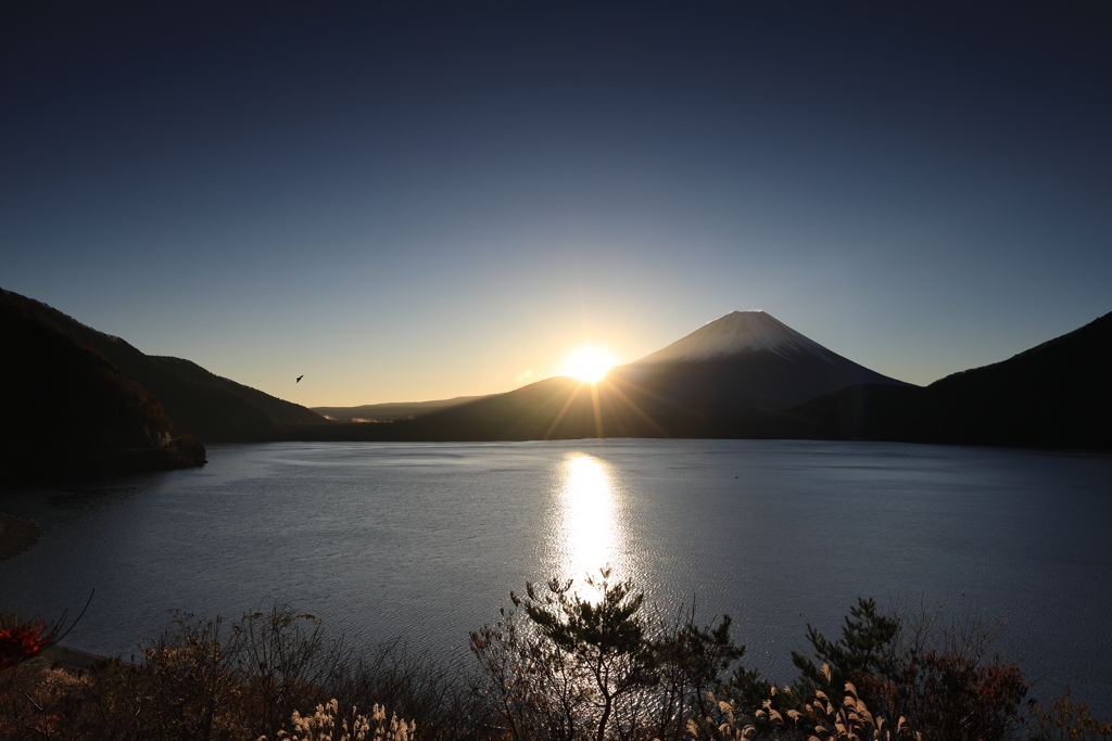 太陽きた〜