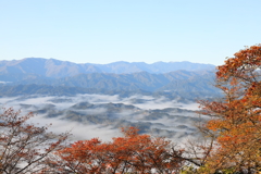 秋朝の景