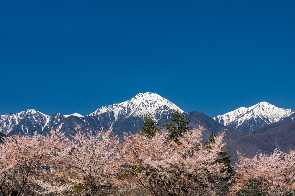 春に見る蝶ヶ岳&常念岳２