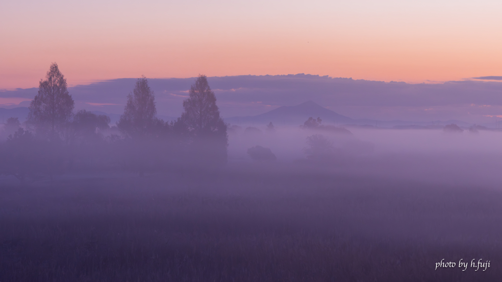 朝霧の景①