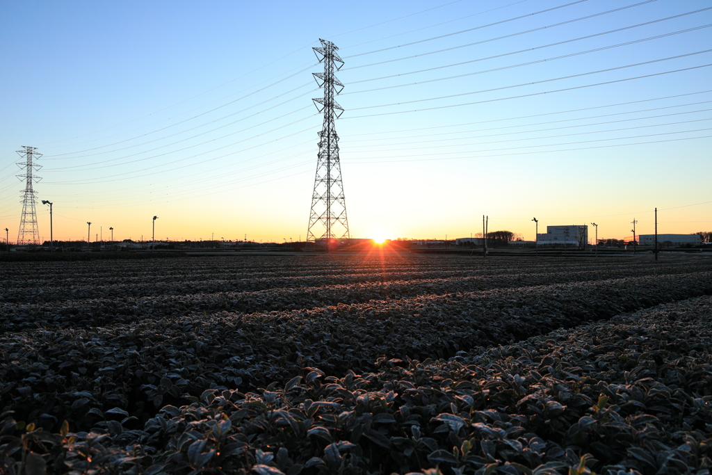 新たな年の始まり
