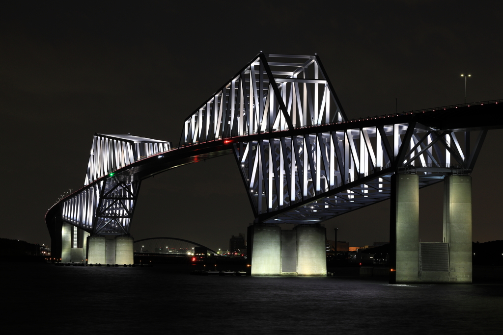 White Dinosaur Bridge