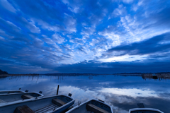 朝雲