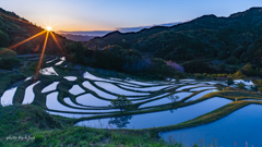 大山千枚田の朝