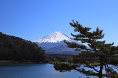昼の富士