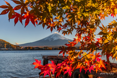 西陽を浴びて