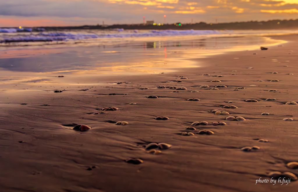 sunset shell beach