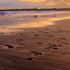 sunset shell beach