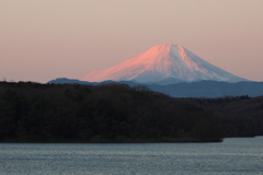 Crimson Fuji　①