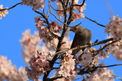 晴天の中で