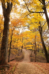 秋道