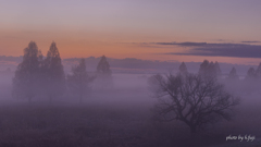朝霧の景②
