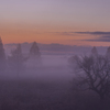 朝霧の景②