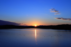 2022年どうもです！