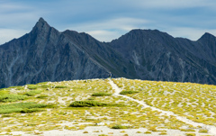 目指す山