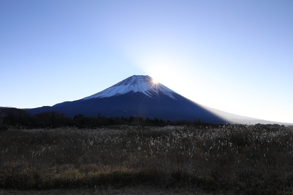 山頂近くから
