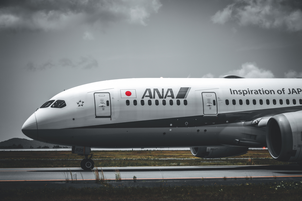 迫力の飛行機撮影