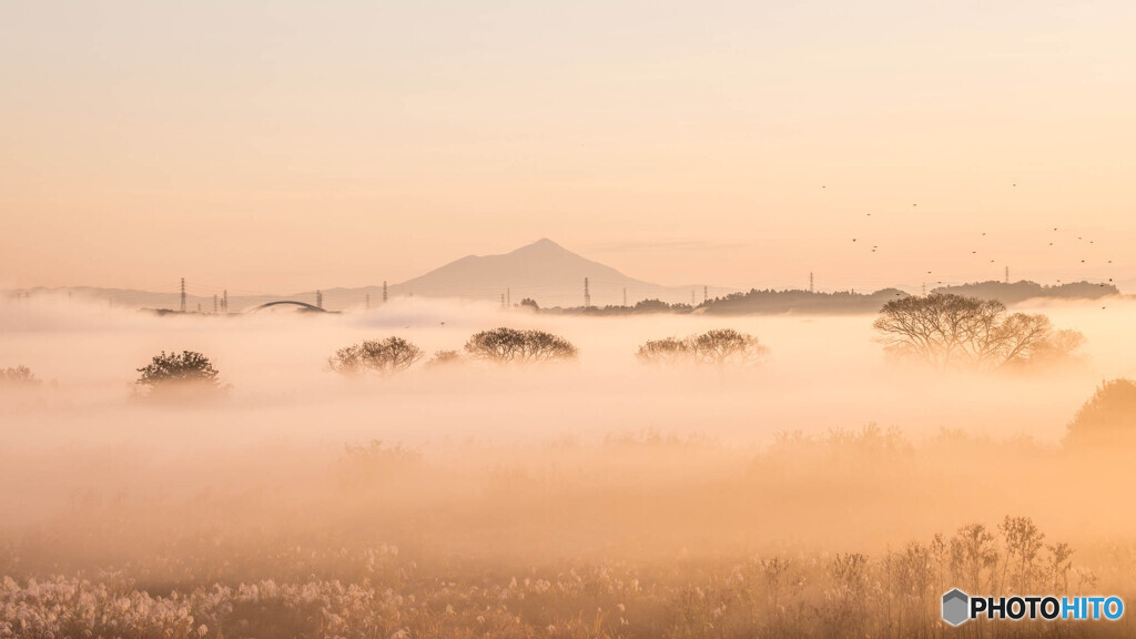 milky morning