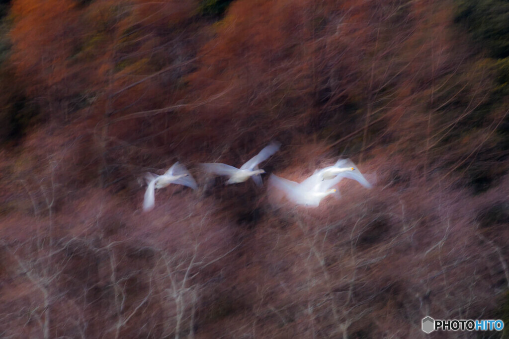 Soft breeze