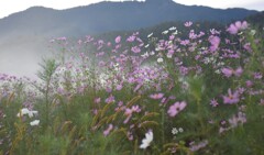 ちょっと、暗くなってきた黄昏時
