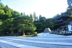 対極