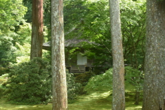 夏寺