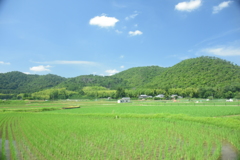 田園