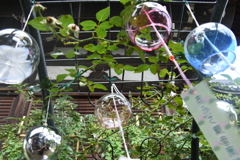 一般には5個以上風鈴を家につける必要はありません。