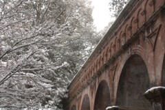 モダン建築と雪