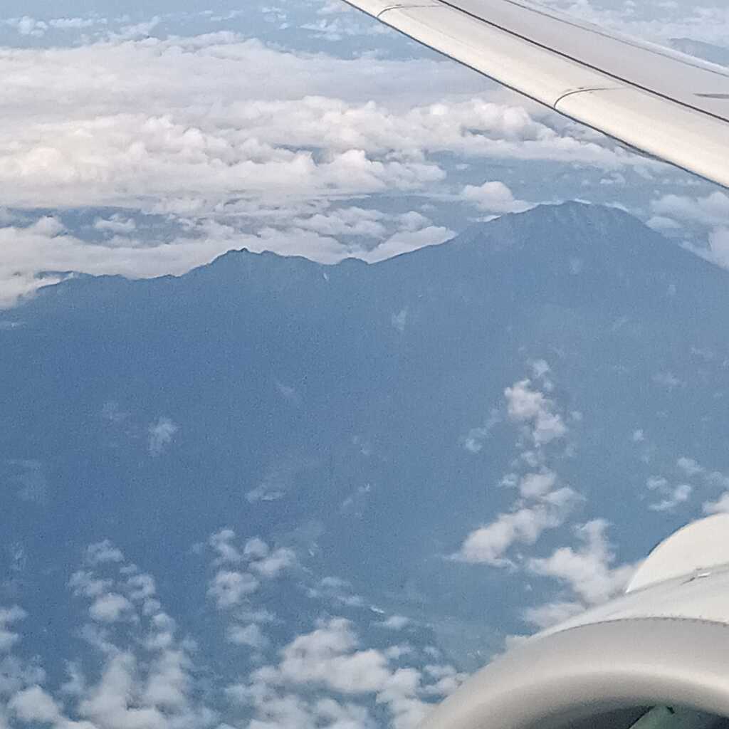 飛行機から大山