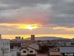 夏の光