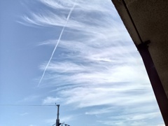 夏の日の雲
