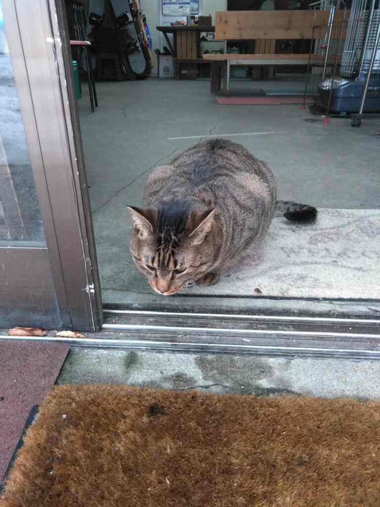 外に出ようかしら