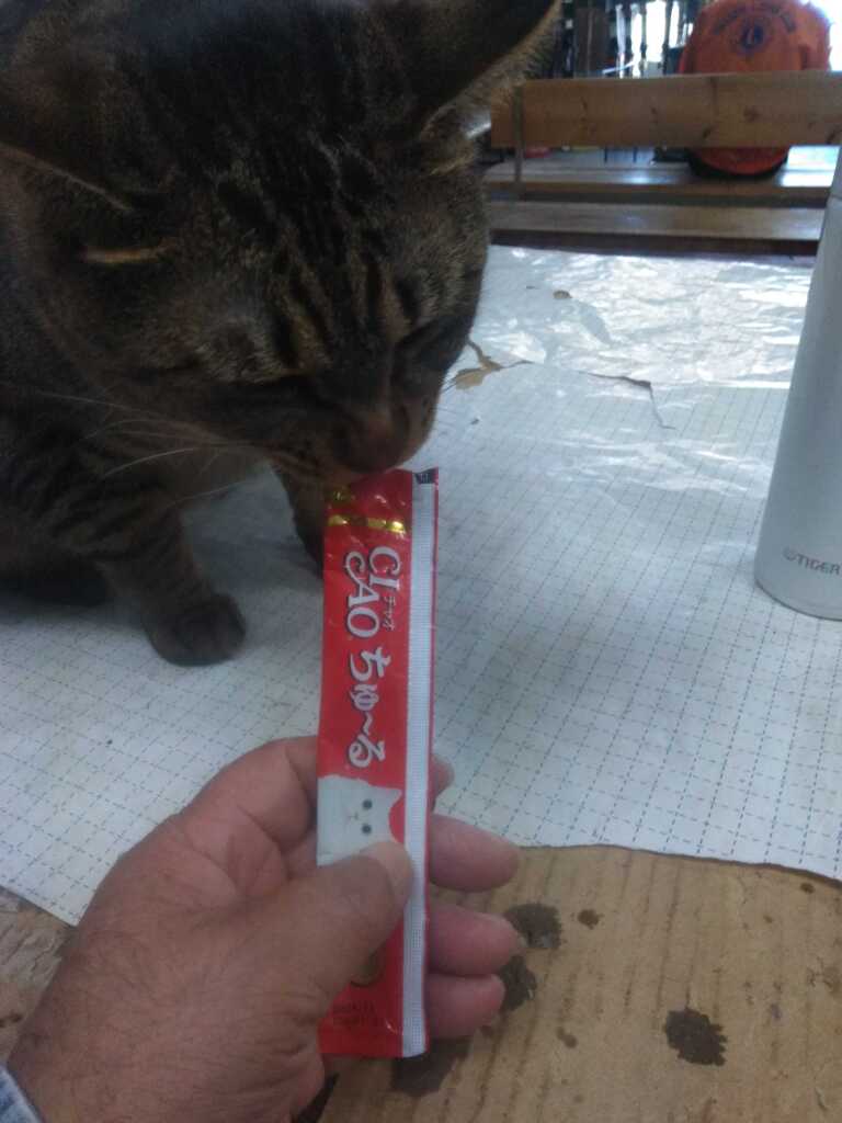 誰にもわたさない