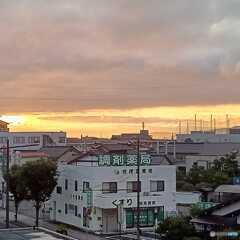夏の光