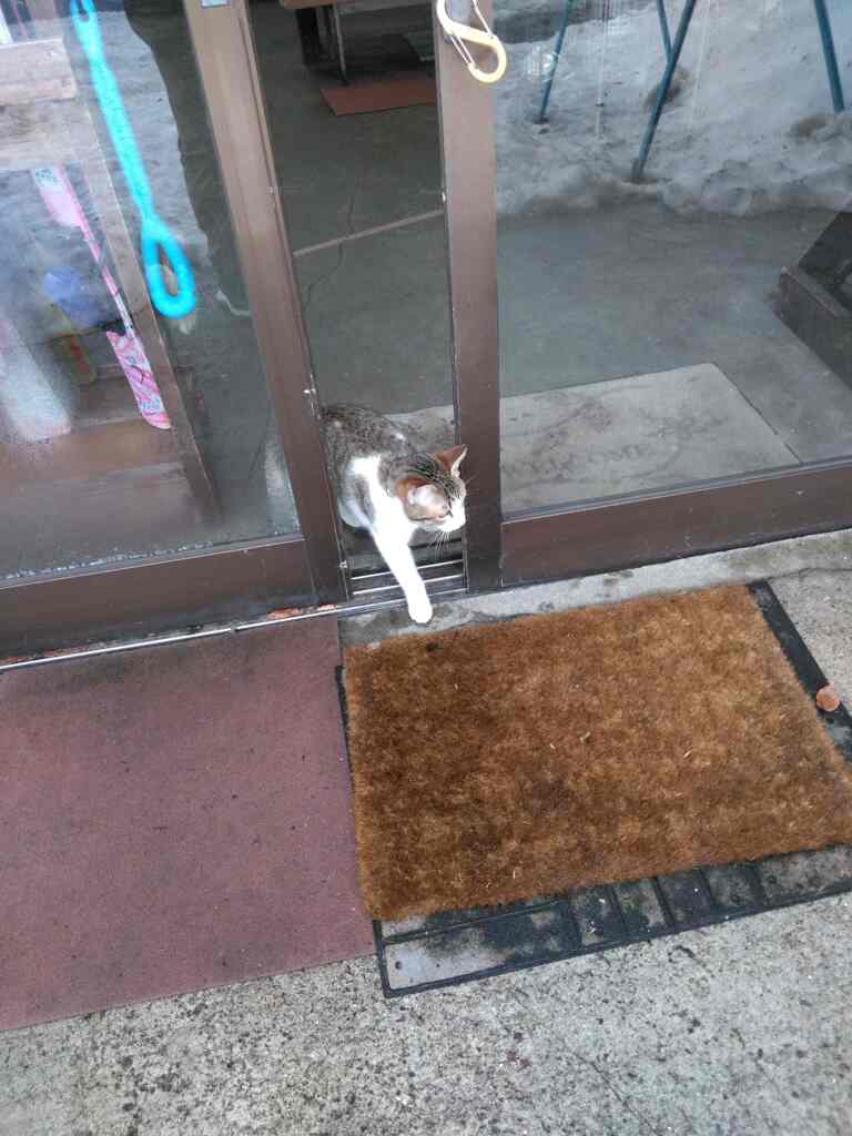 一歩踏み出して