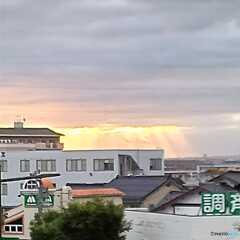 夏の光