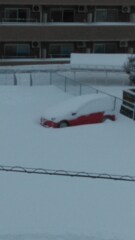 車埋まってます