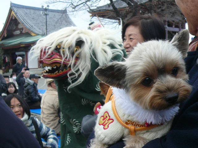 獅子舞